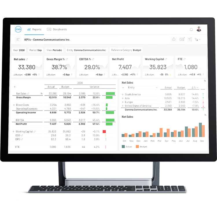 Cxo Transform Lackluster Epm Reporting Into Dynamic C Level Insights